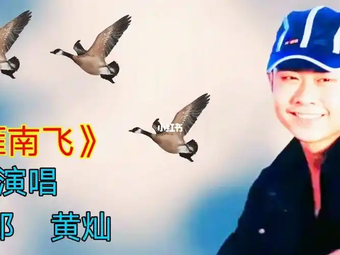 巜雁南飞刀郎黄灿联唱