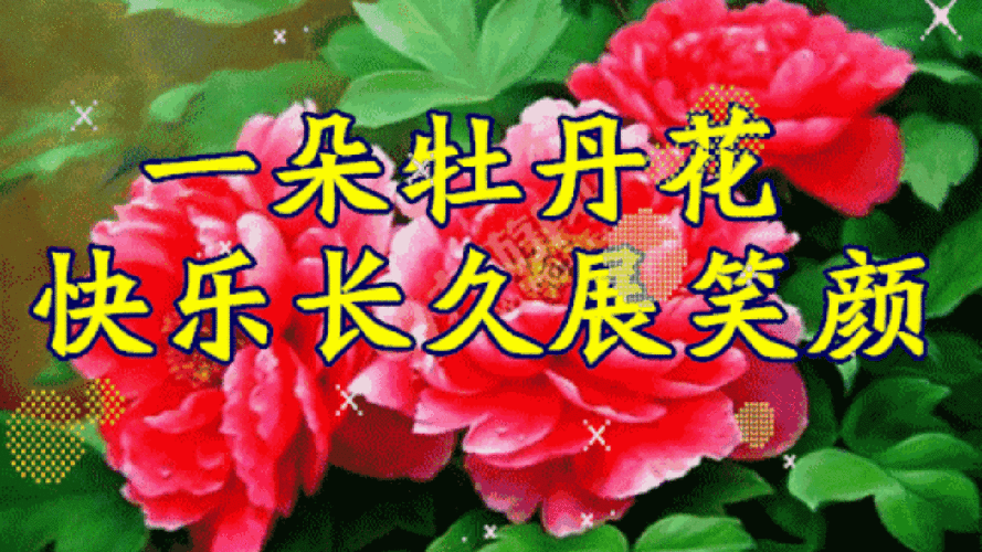 1280_720gif 动态图 动图