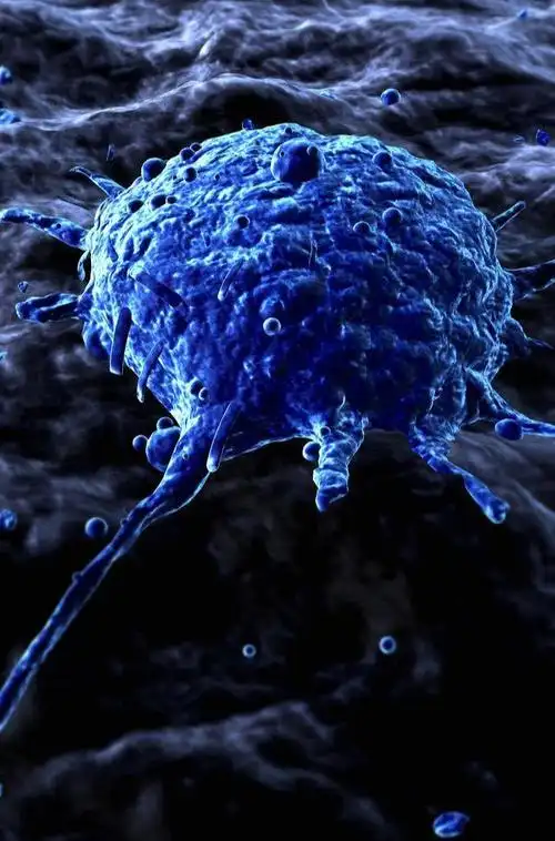 巨噬细胞参与什么免疫免疫细胞巨噬细胞的工作方式是什么