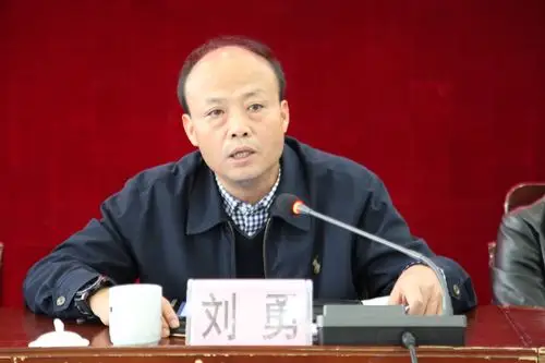 刘勇书记作讲话