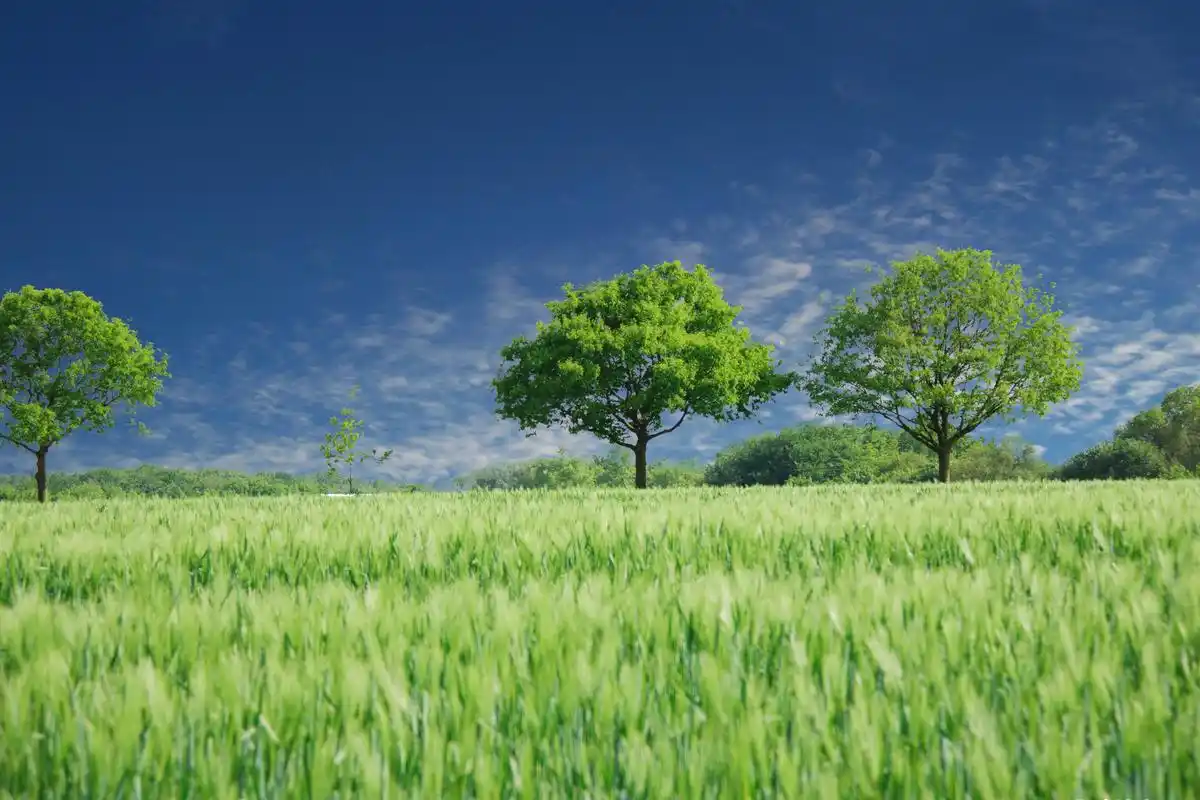 蓝天白云青草绿地唯美高清风景壁纸