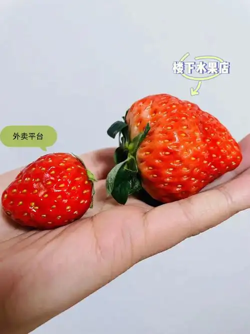 买草莓踩过的那些坑吸取我的惨痛教训