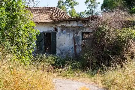 的灰泥特写房屋墙壁上破旧破损的灰泥特写林子边一座破旧的红砖房子