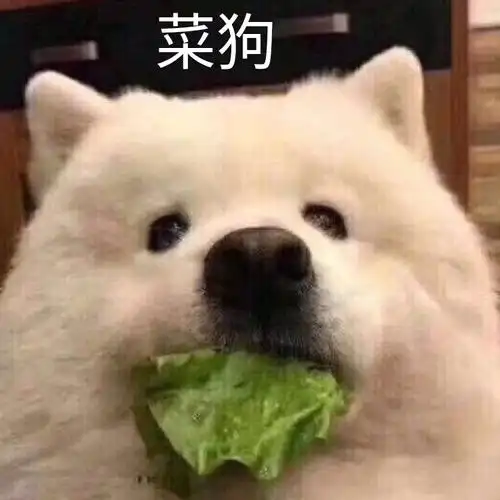 菜狗狗子吃青菜菜狗狗子青菜表情