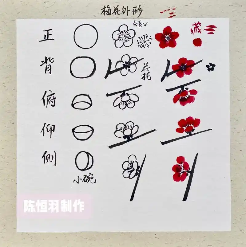 梅花画法拆解,简单明了,建议收藏.#零基础学画画 #国画 # - 抖音