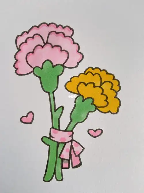 动漫康乃馨花简笔画