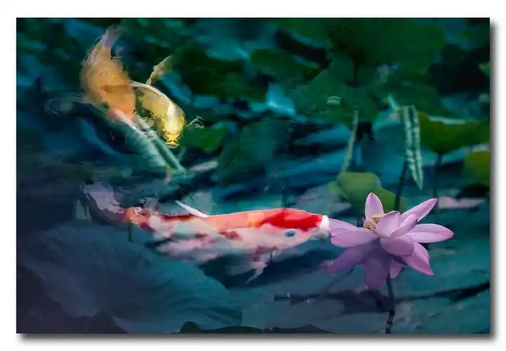 鱼戏荷花图