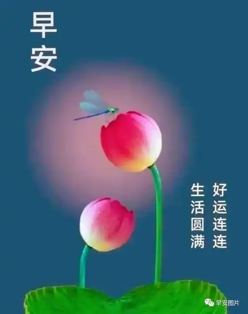 早安图片温馨的早安问候祝福图片微信最美的早安祝福表情祝福语