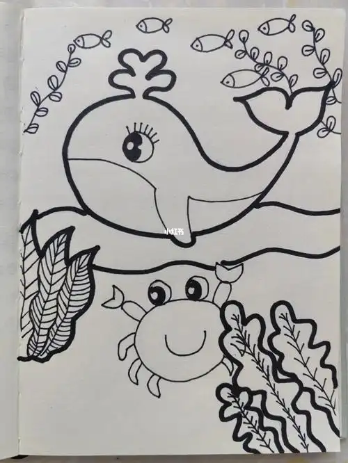 绘画打卡第一个主题可爱鲸鱼