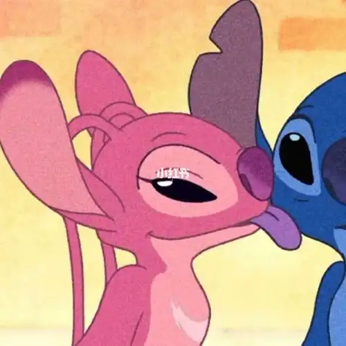 星际宝贝史迪奇和安琪情侣头像