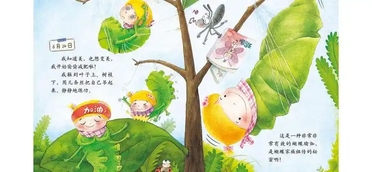 绘本蝴蝶的日记03