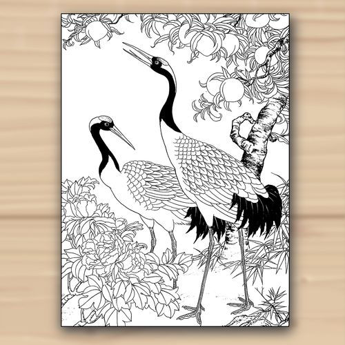 工笔白描仙鹤画谱黑白图集中国画线描初学入门练习临摹范本