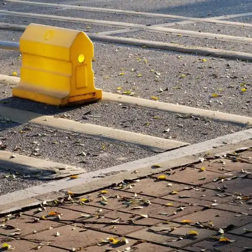 随手拍地上的落叶好像在发光