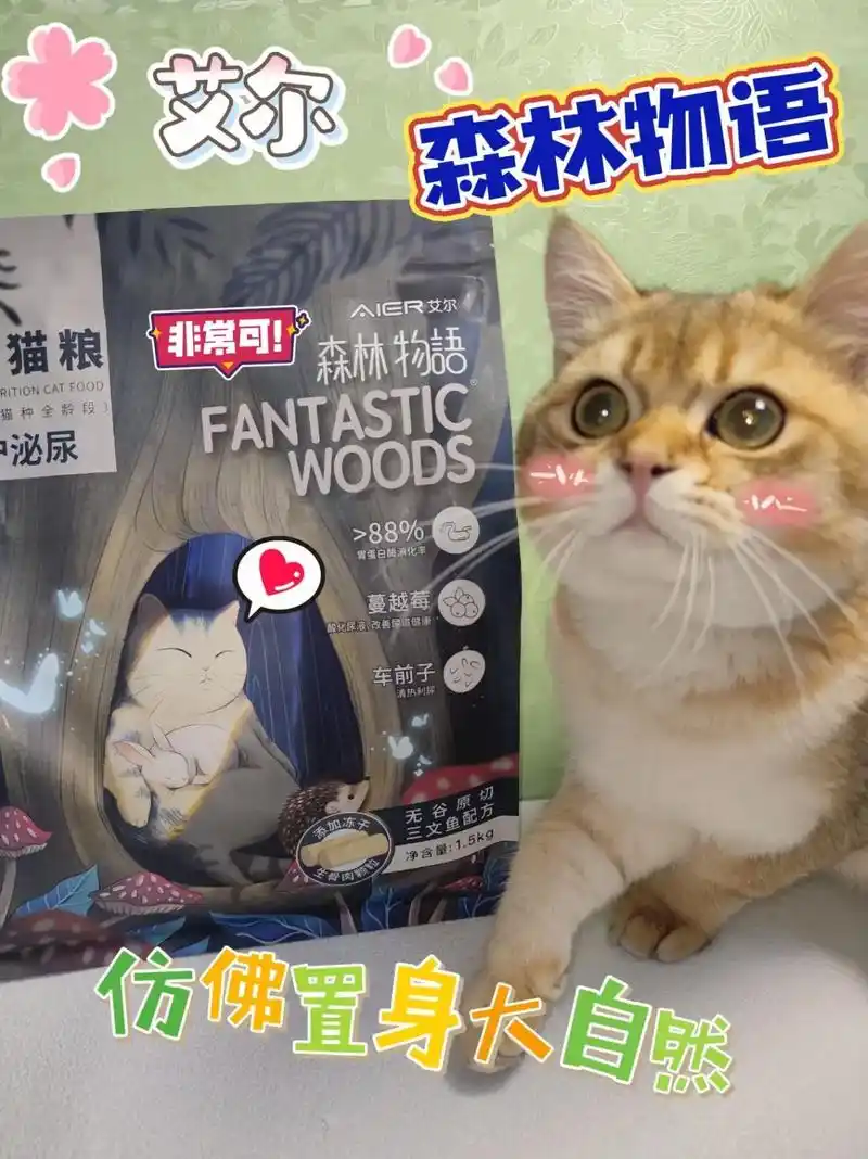 选猫粮就选艾尔鲜肉猫粮.选猫粮就选#艾尔 鲜肉猫粮 #森林物 - 抖音