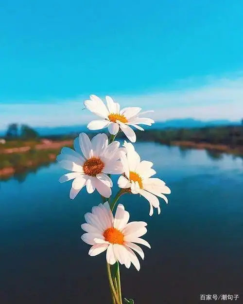 表达心情开朗的句子心情豁达开朗的说说