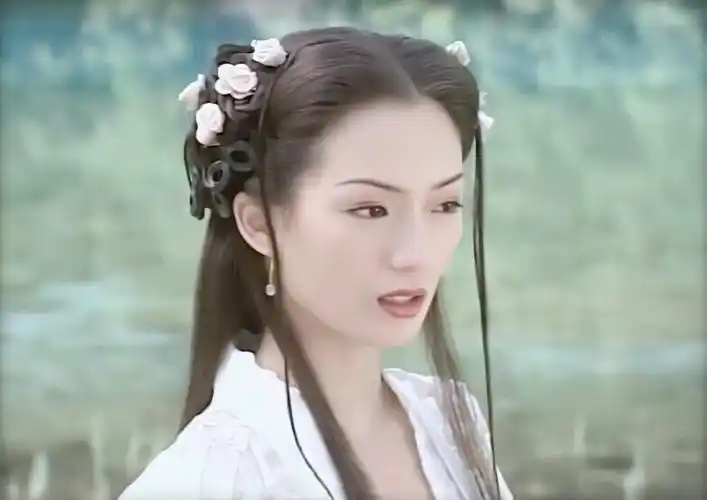 郑秀珍东游记何仙姑