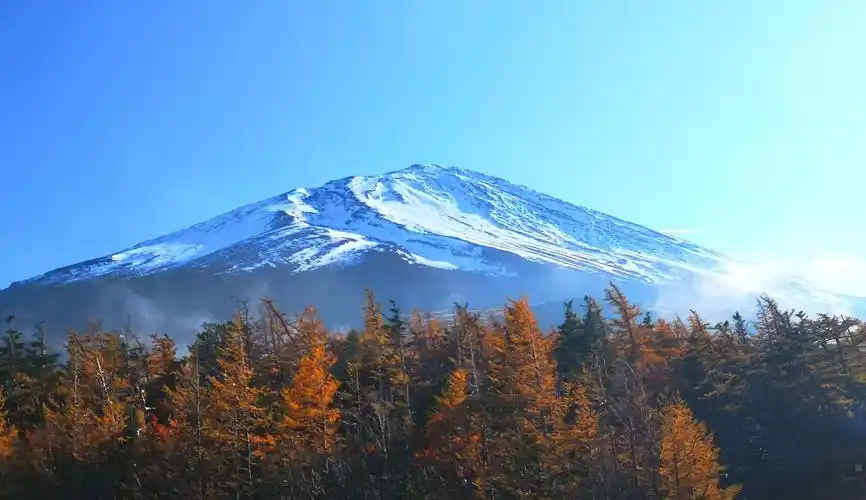富士山--是日本国内最高的山峰,山顶被白雪覆盖,由山脚到山顶为十合目