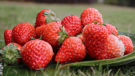 数据线年货特供价:2元/条