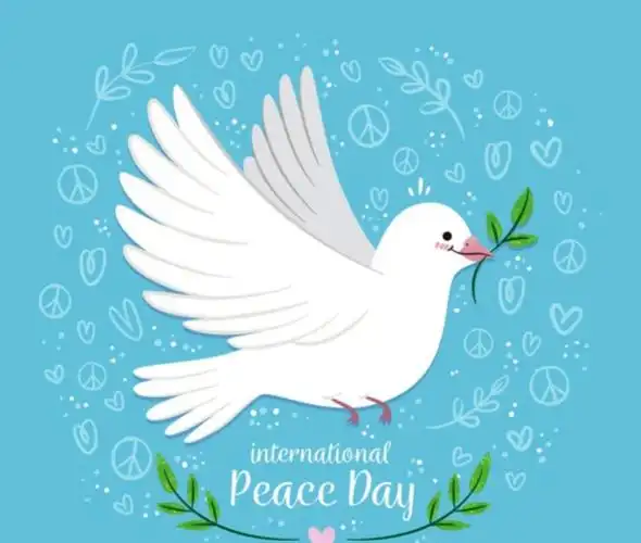 振翅飞翔 逐梦的小白鸽! 二(2)班 2020年春季学期总结