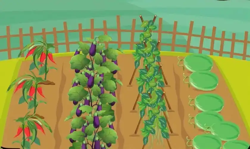 春天的菜园简笔画春天的菜园简笔画怎么画