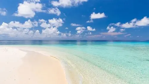 马尔代夫美丽的海滩风景5k高清壁纸800x450