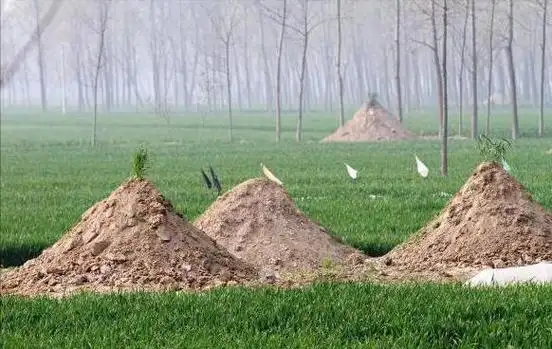 农村坟地怎样完善