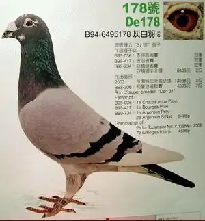 英格斯178回血539