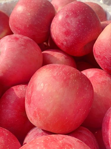 顺丰包邮山东烟台栖霞红富士原产地发货新鲜水果苹果