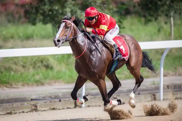 10月15日,骑师麻连凯驾驭赛马在2岁中国出生纯血马1000米的比赛中.