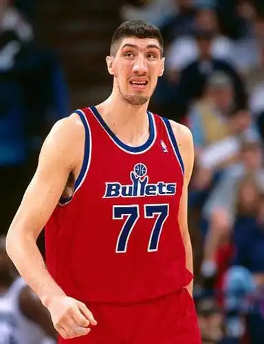 nba声名显赫的六大高个球员排行榜,乔治·穆雷桑无人能敌!