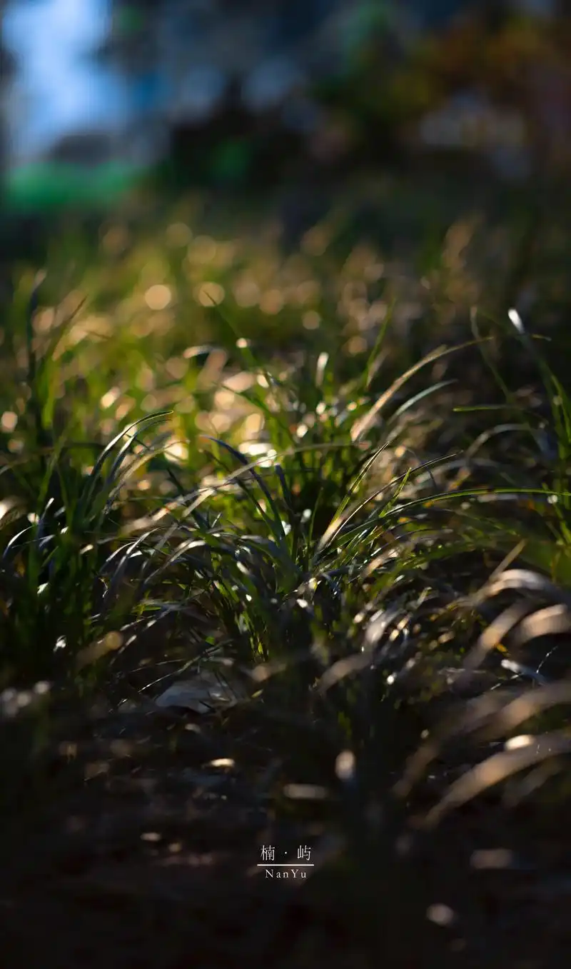 大光圈虚化i了.#摄影 #扫街 #光 #索尼a6000 #永 - 抖音