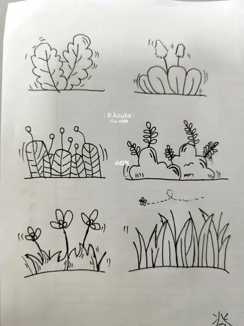 今日草丛简笔画交作业