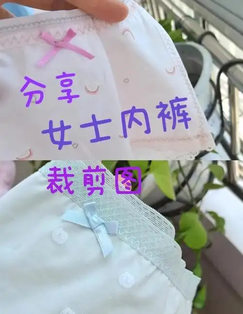女士内裤裁剪图分享 网购的纸样,实物测量了三个常用型号
