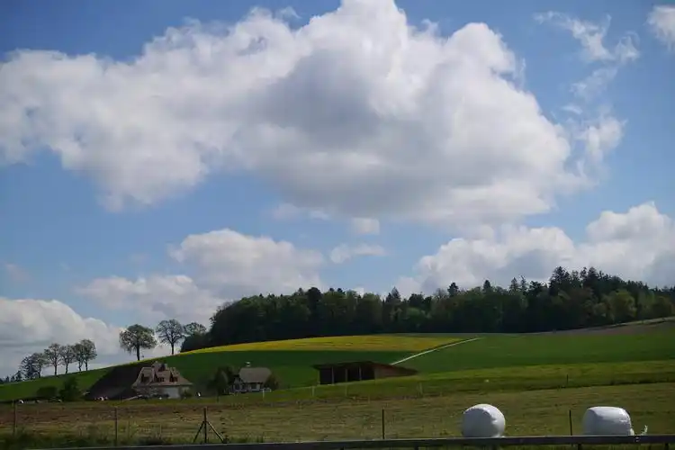 2019瑞士蒙特勒山间牧场