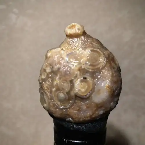 外蒙浮雕眼石红眼石玛瑙 阿拉善戈壁玛瑙原石优惠券