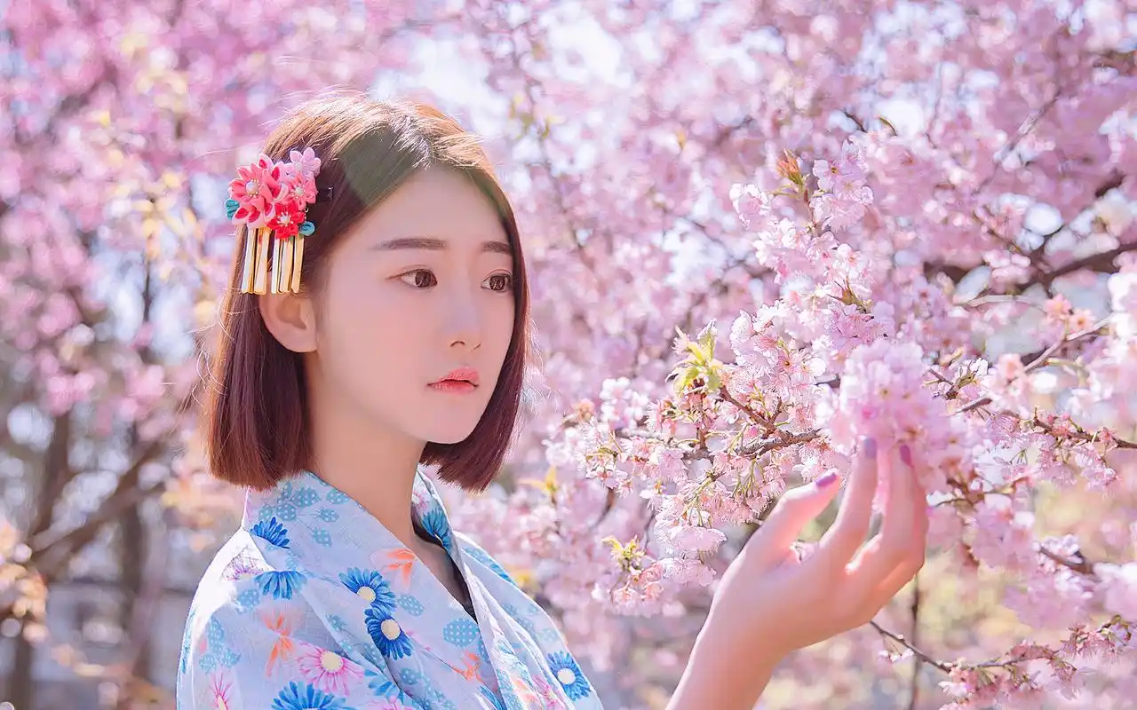甜美和服美女樱花树下唯美写真桌面壁纸