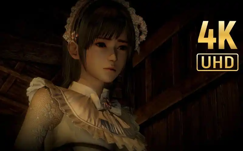 【4k】rtx 3080 ti 运行《零 ～濡鸦之巫女》4k最高画质