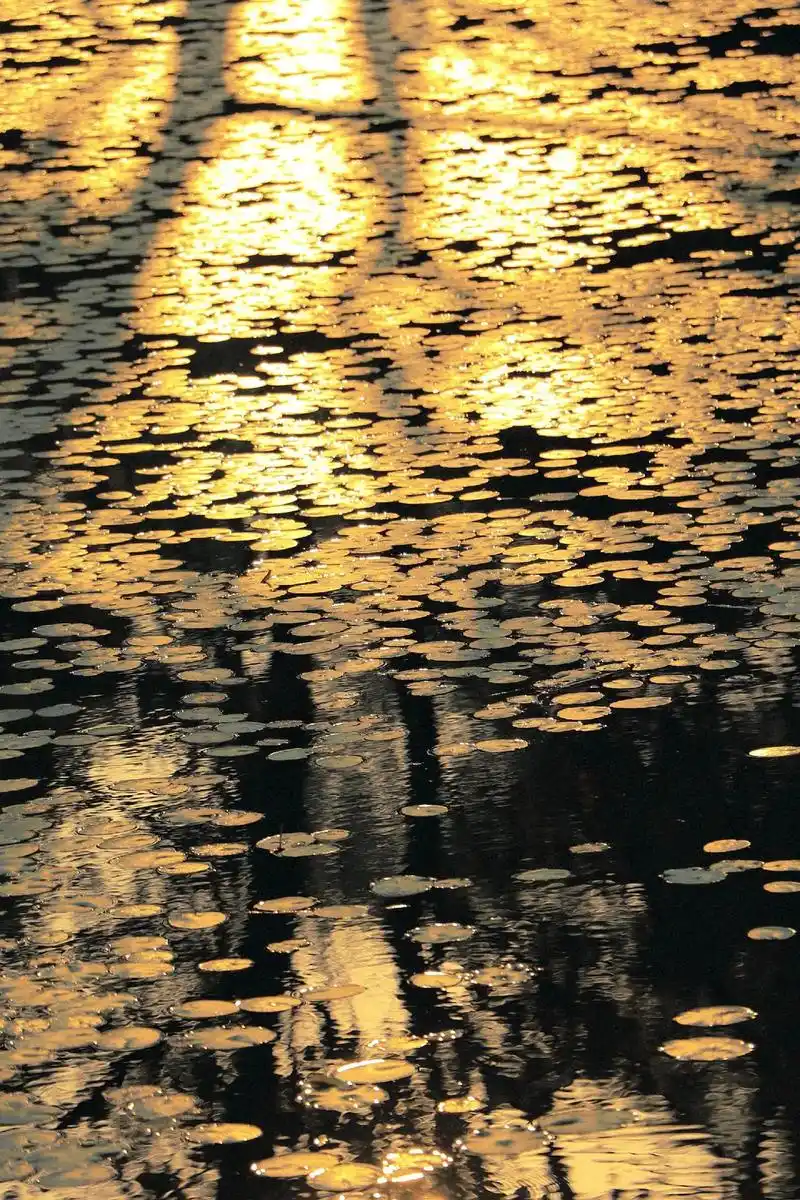 落日熔金,暮云合璧.#摄影 - 抖音