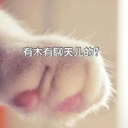 睡不着,有木有陪聊的.