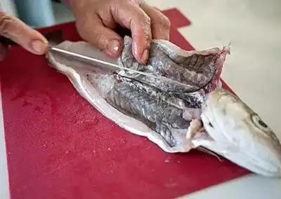 鲨鱼肚子里是什么样的(鲨鱼宝宝肚子上的袋子是什么)-奇闻趣事-皓宇