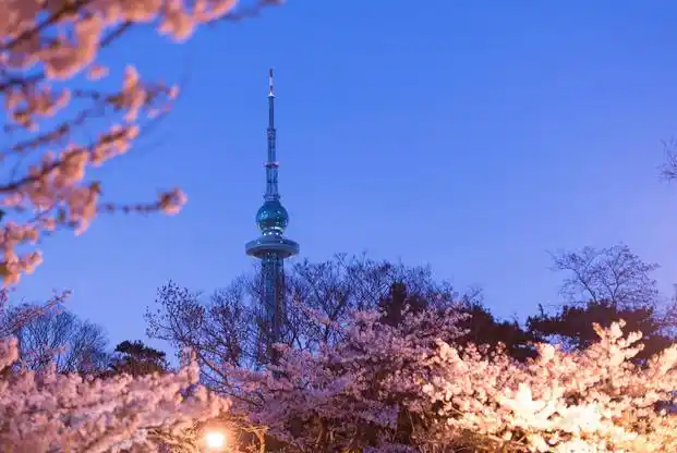 2022青岛中山公园景点介绍索道价格开放时间游玩攻略