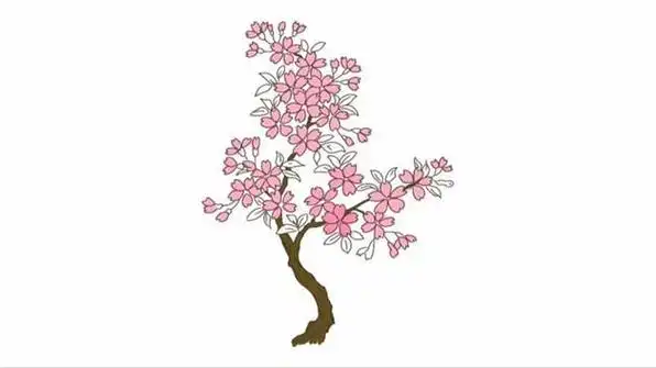 樱花树怎么画简笔画彩笔