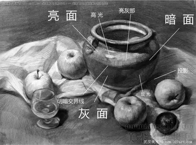 静物素描的明暗五调子