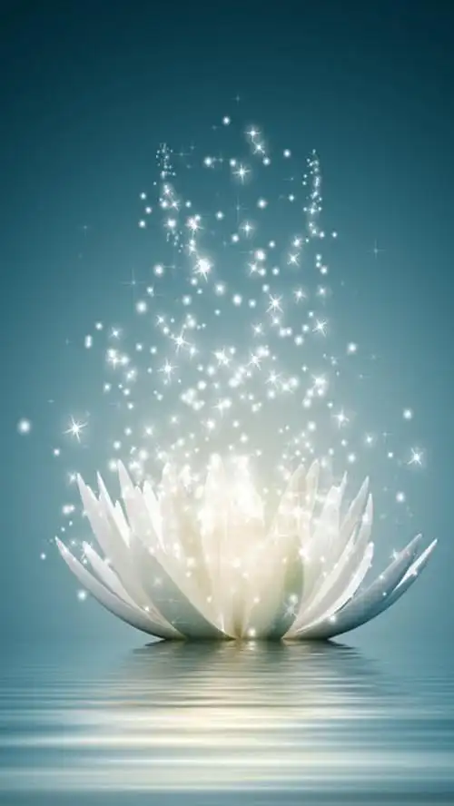 莲花花朵光点h5背景免抠素材免费下载_觅元素51yuansu.com