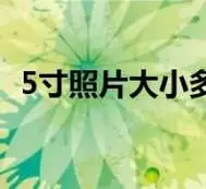 5寸照片大小多少厘米(5寸照片大小尺寸)