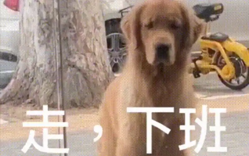 表情包(走,下班)_哔哩哔哩_bilibili