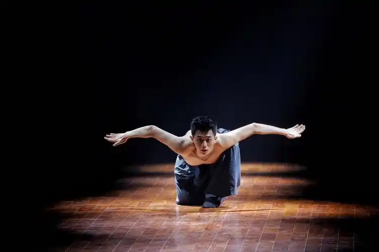 我院表演专业学生参加"首届辽宁省高校原创舞蹈大赛"的比赛录制