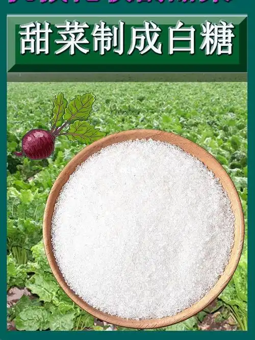 甜菜是如何制成白糖的先把甜菜切丝泡温水