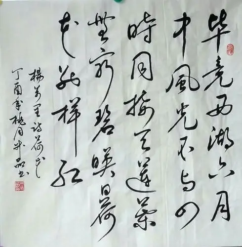 接天莲叶无穷碧,映日荷花别样红 【熊升品摄影】