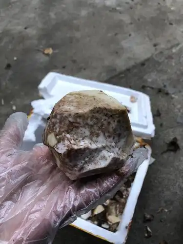 芋头这个颜色怎么了,可以吃吗